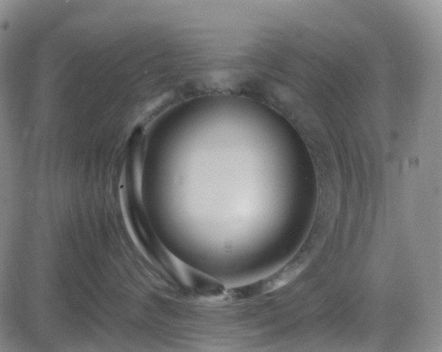 X0000082750624200702021412