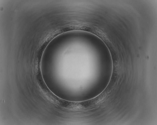 X0000082750642200702021411