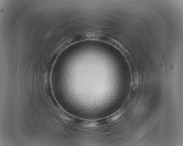 X0000082750667200702021412