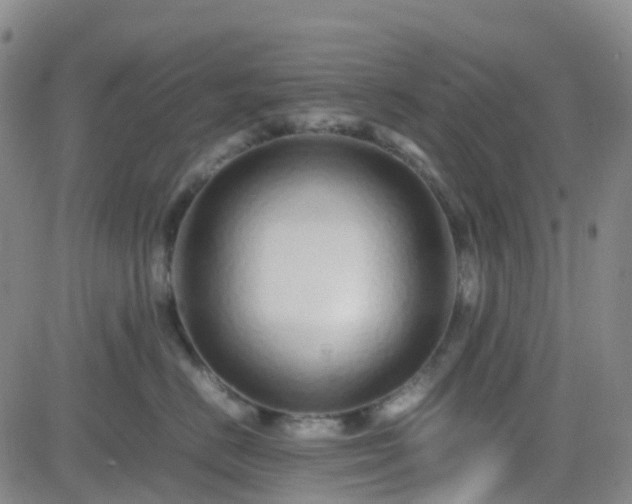 X0000082750670200702021412