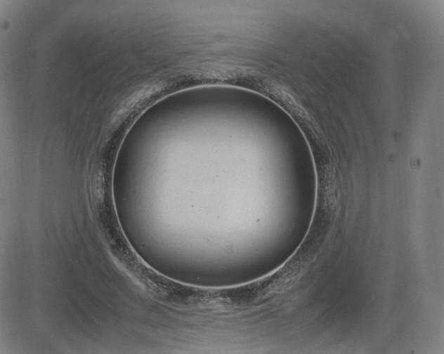 X0000082750683200702021411
