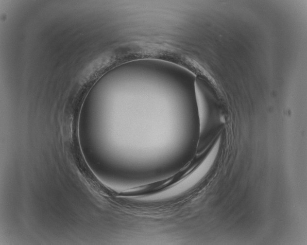 X0000082750685200702021411