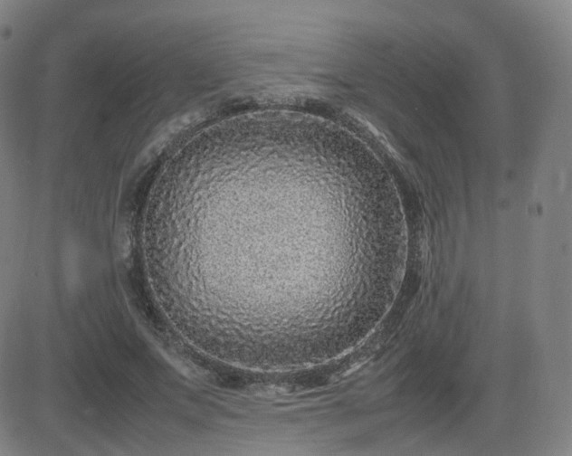 X0000082750687200702021411