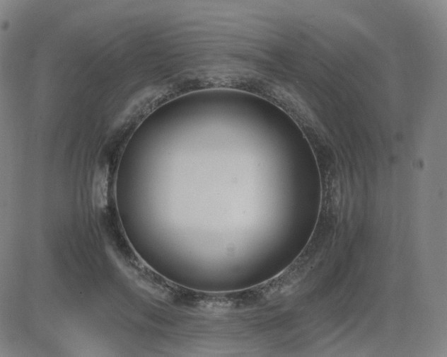 X0000082750694200702021411