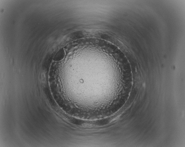 X0000082750699200702021411