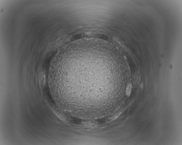 X0000082750703200702021411
