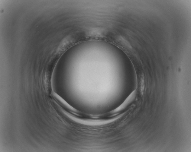 X0000082750708200702021410