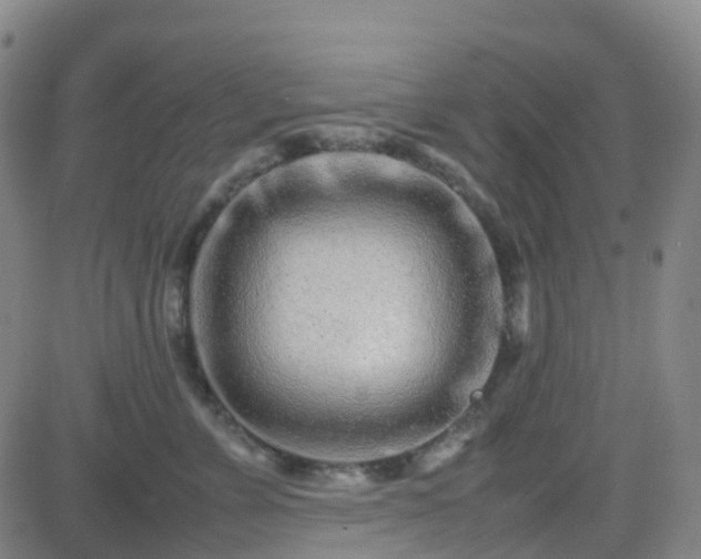 X0000082750715200702021410