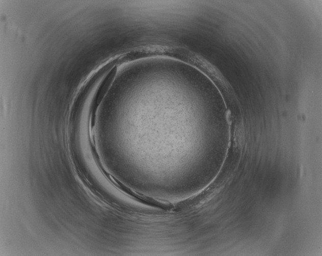 X0000082750722200702021410
