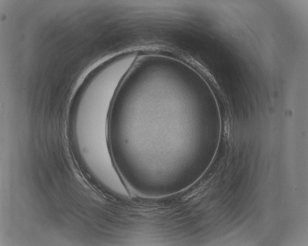 X0000082750724200702021410