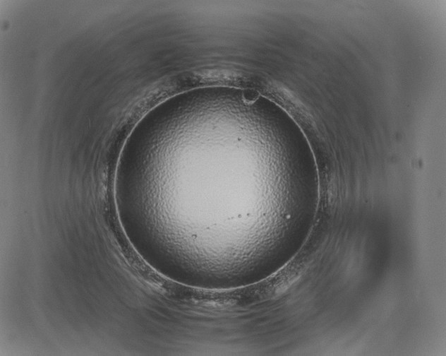 X0000082750737200702021410