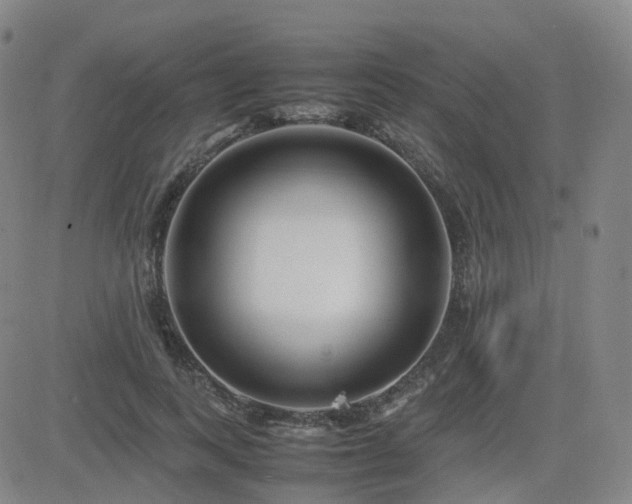 X0000082750743200702021410