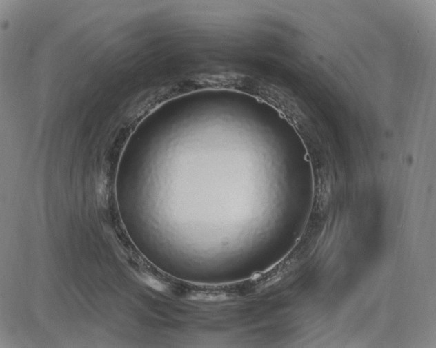 X0000082750749200702021410