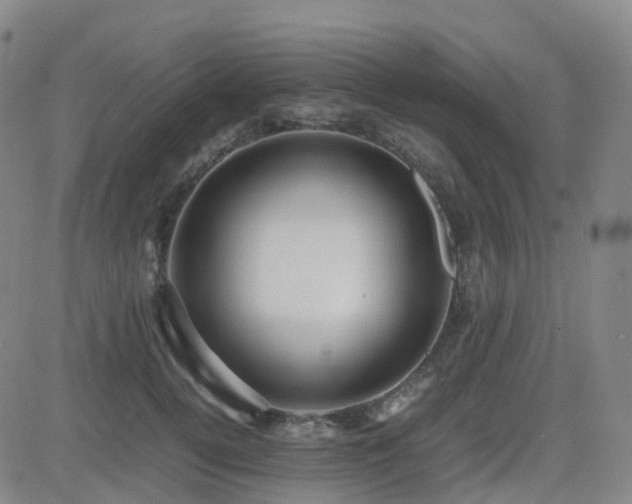 X0000082750752200702021410