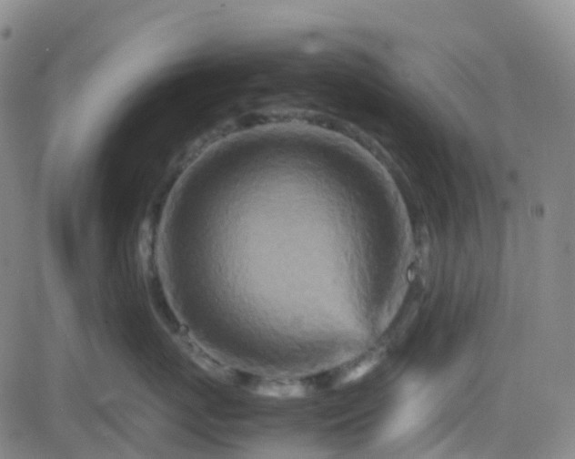 X0000082750767200702021410