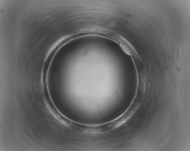 X0000082750788200702021409