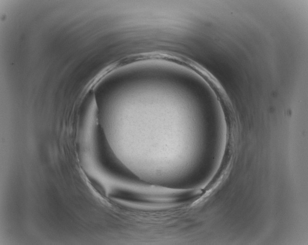 X0000082750809200702021409