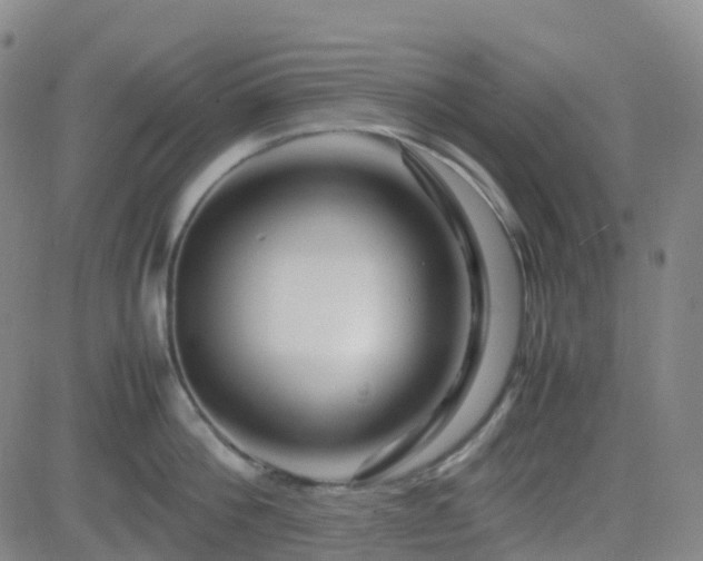 X0000082750812200702021409