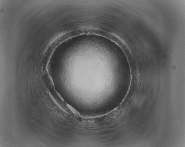 X0000082750823200702021408