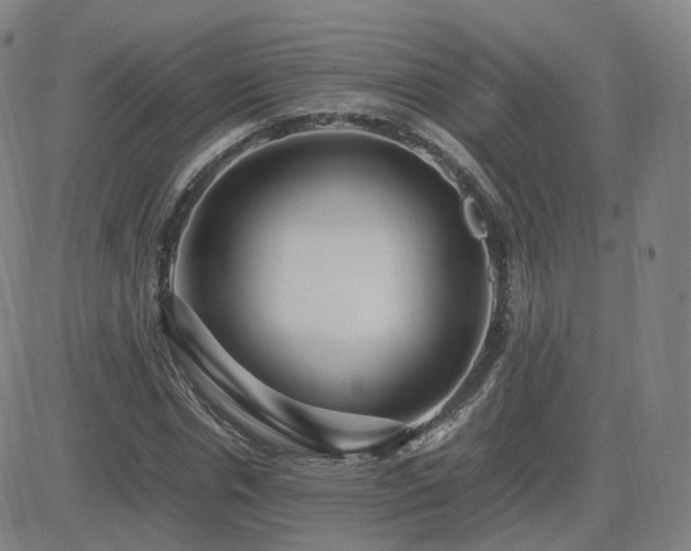 X0000082750826200702021408
