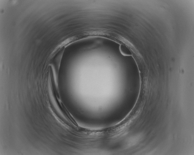 X0000082750841200702021408