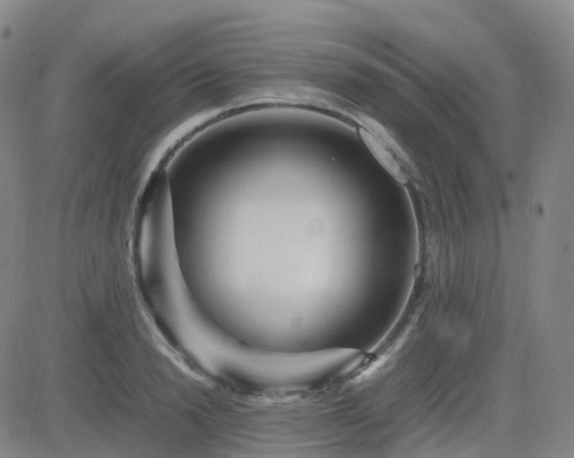 X0000082750846200702021408