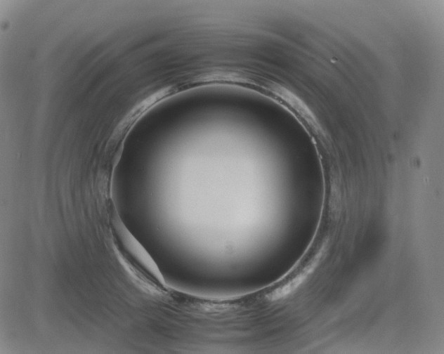 X0000082750849200702021408