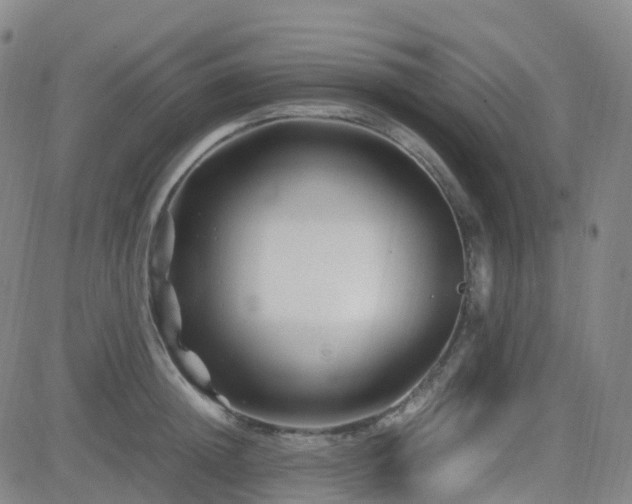 X0000082750852200702021408