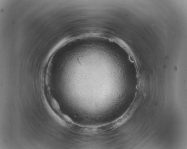 X0000082750859200702021409