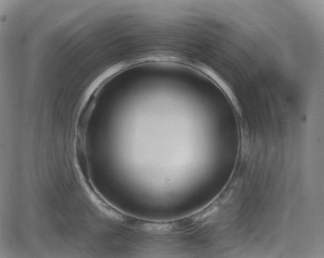 X0000082750861200702021409