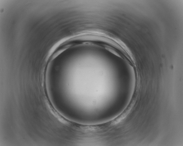 X0000082750862200702021409