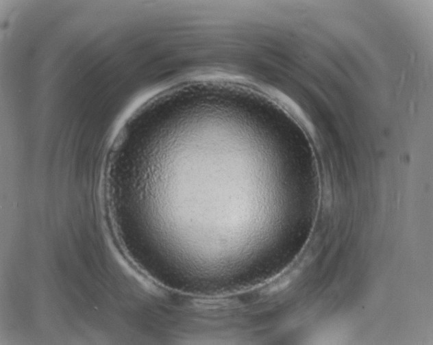 X0000082750863200702021409