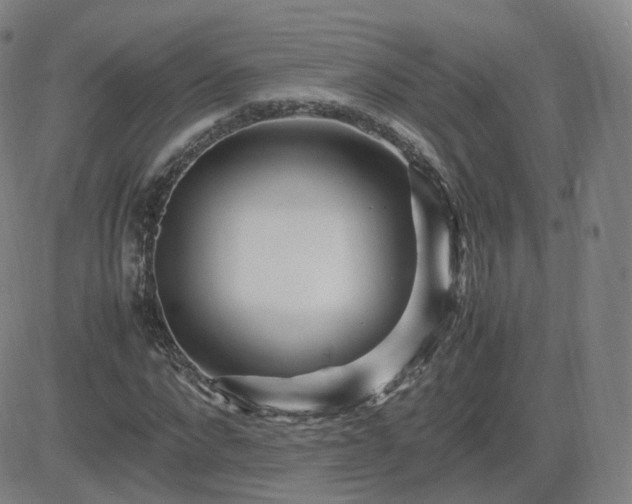 X0000082750872200702021408