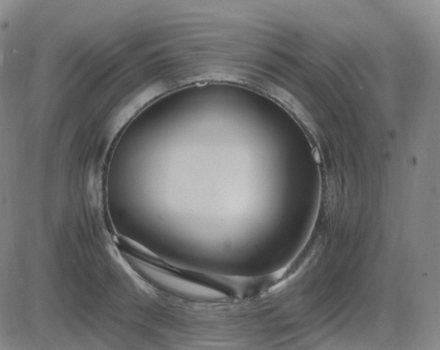 X0000082750898200702021407