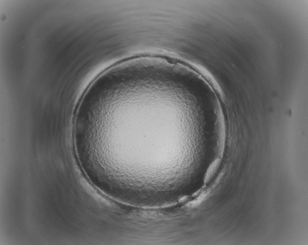 X0000082750903200702021407