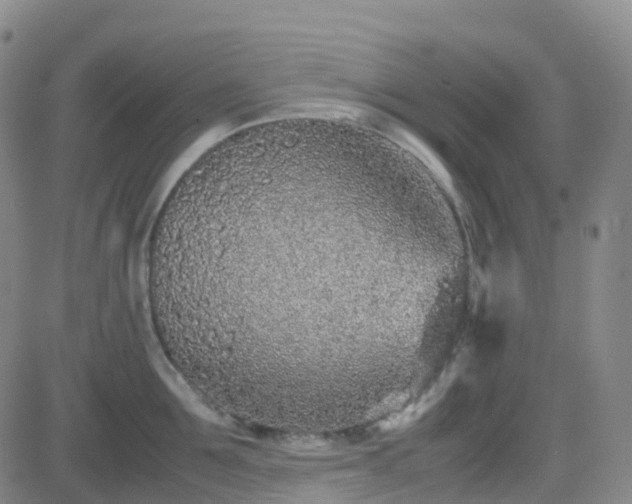 X0000082750907200702021407