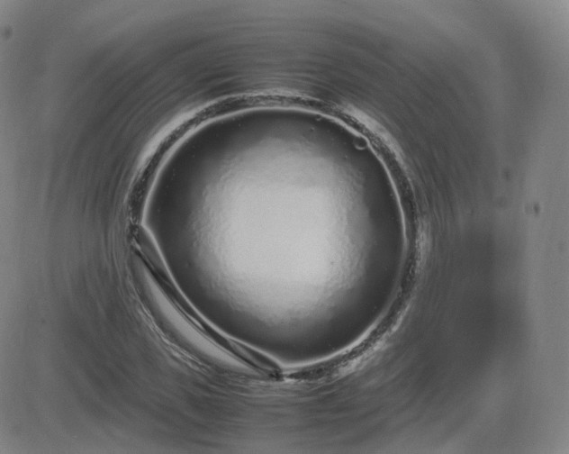 X0000082750925200702021407