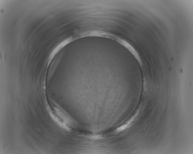 X0000082750954200702021407