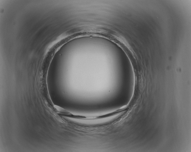 X0000082750971200702021406