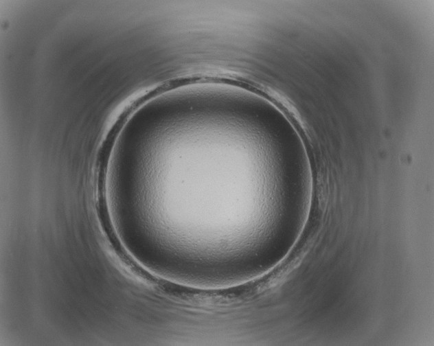 X0000082750987200702021406