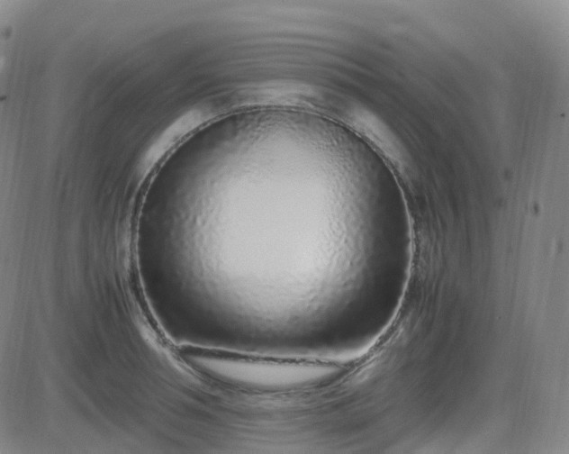 X0000082750994200702021406