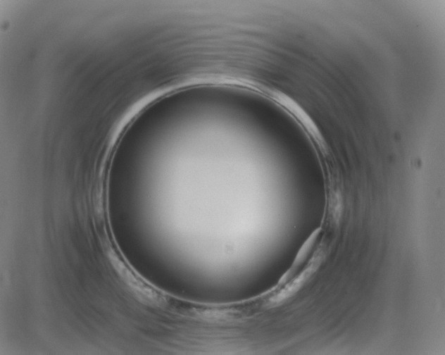 X0000082751004200702021406