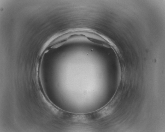 X0000082751006200702021406