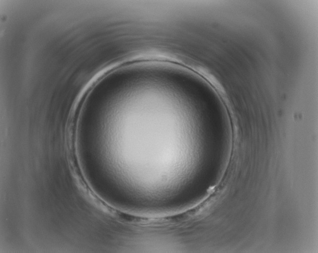 X0000082751008200702021406