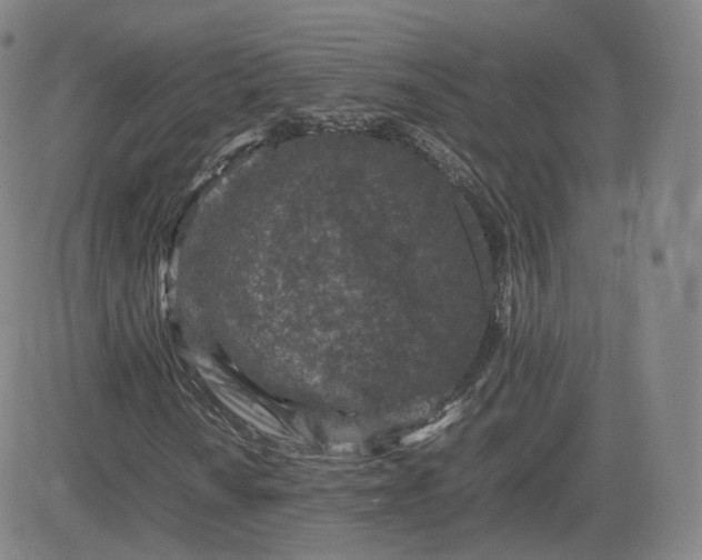 X0000082751010200702021405