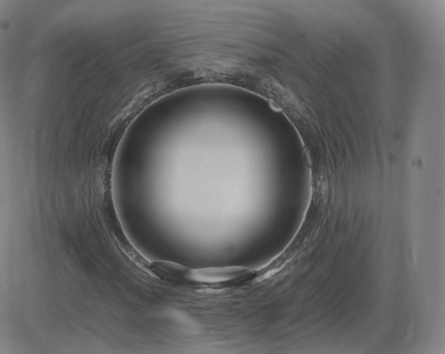 X0000082751012200702021405