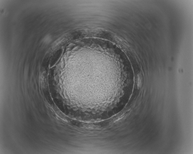 X0000082751059200702021405