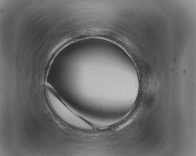 X0000082751073200702021405