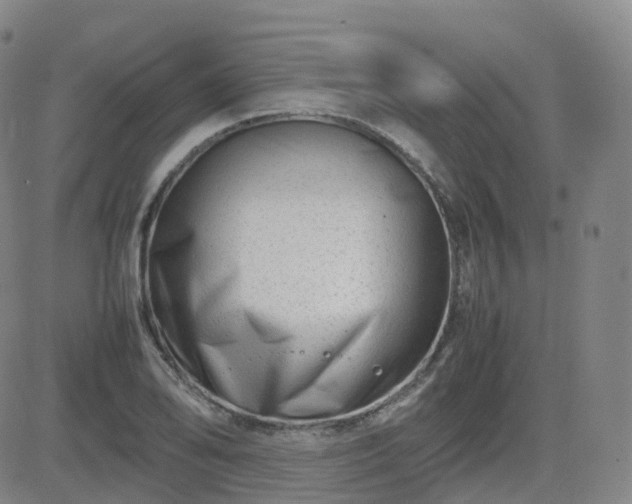 X0000082751078200702021404