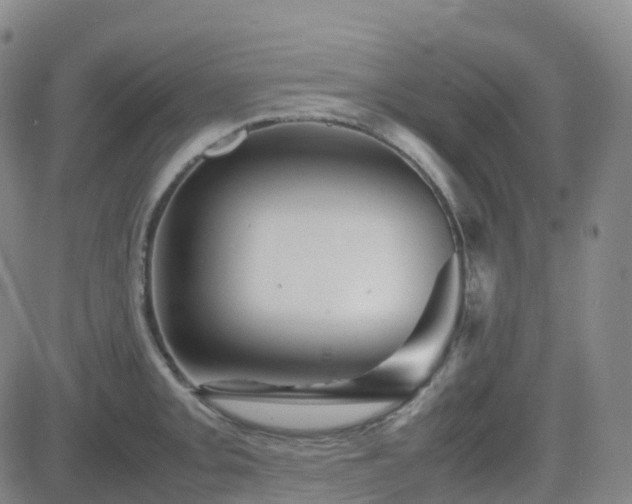 X0000082751093200702021404
